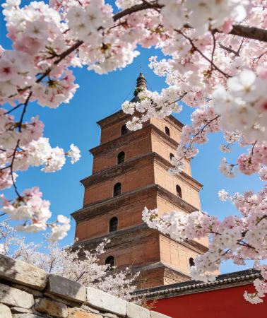 5D4N•Xi'an