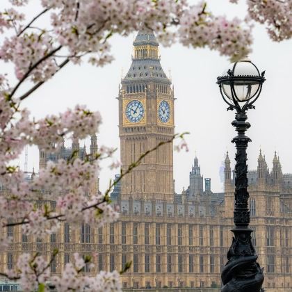 英国8日私家团