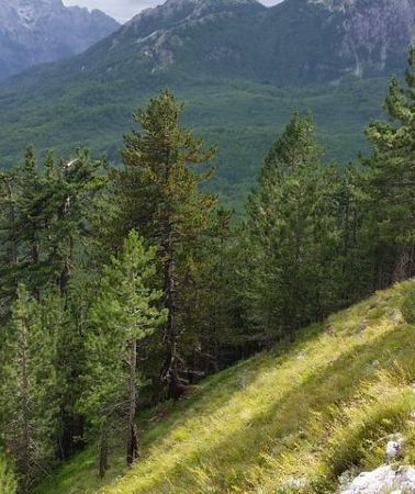 3D2N • Semi-Private Hiking Tour; Theth, Valbona & Koman Lake in 3 Days