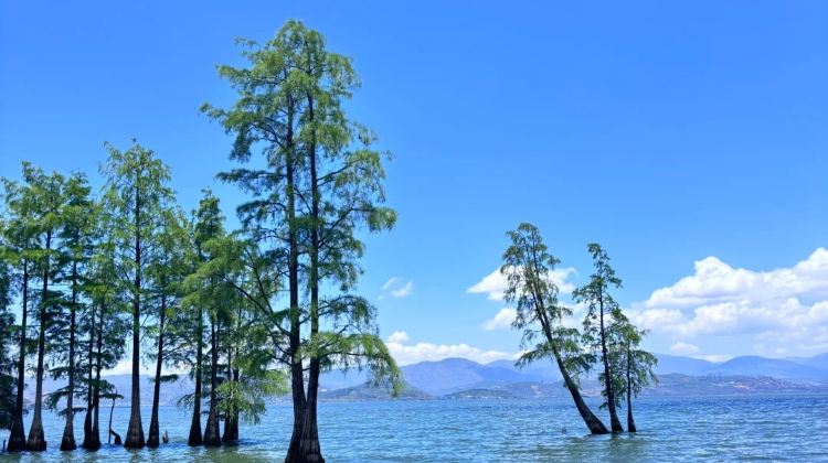 5D4N · Group Tours · Yunnan Kunming + Dali + Lijiang 5 Days 4 Nights Small Group Tour