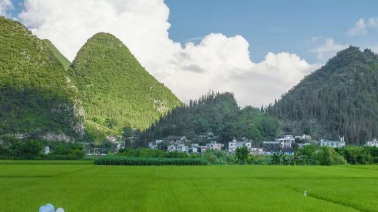 8D7N · Private Tours · Guiyang + Huangguoshu Waterfall + Libo + Xijiang Qianhu Miao Village + Zhenyuan Ancient Town + Mount Fanjing + Wanfenglin Scenic Area + Maling River Canyon