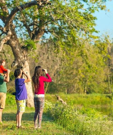 10D9N • Bird Watching Tour Sri Lanka - 10 Days