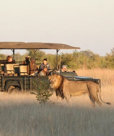 4D3N • 4 Day Hwange and Victoria Falls Budget Package