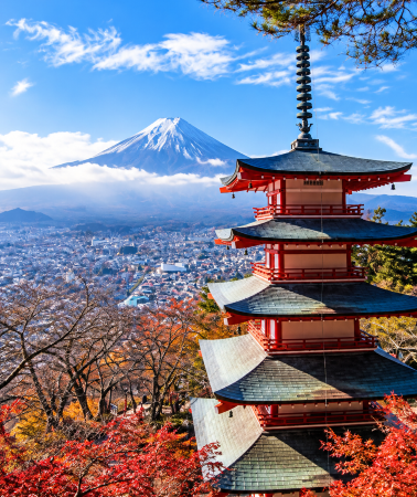 2D1N • Tokyo + Izu City + Hakone + Mount Fuji