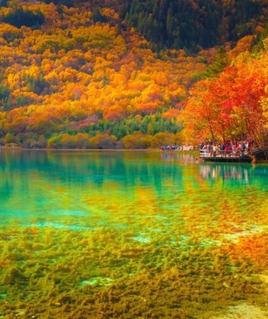 3D2N • Jiuzhaigou & Huanglong: 3-Day Natural Wonders Private Tour