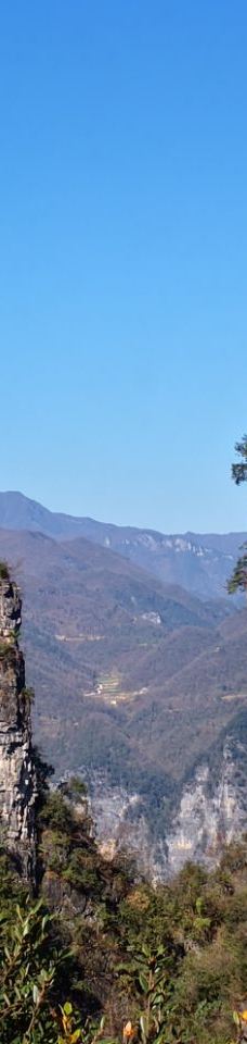 柴埠溪大峡谷-五峰