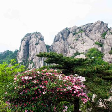 安徽黄山风景区+宏村3日2晚私家团