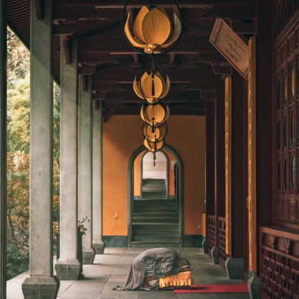 杭州西湖风景名胜区+雷峰塔+灵隐寺+乌镇+中国大竹海景区+绍兴5日私家团