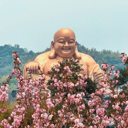 天一阁博物院+老外滩+溪口-滕头旅游景区+雪窦山+蒋氏故居3日2晚私家团