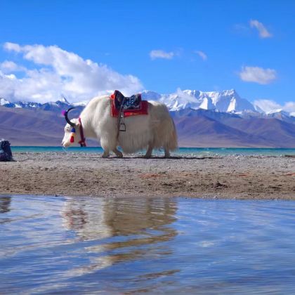 纳木措景区+纳木措圣象天门+羊卓雍错2日1晚私家团