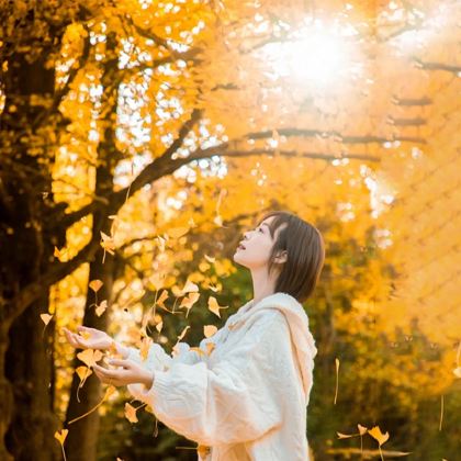 昆明+芒市+瑞丽+腾冲6日5晚跟团游