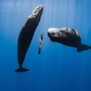 马达加斯加+毛里求斯+留尼汪（法属）+塞舌尔18日17晚私家团