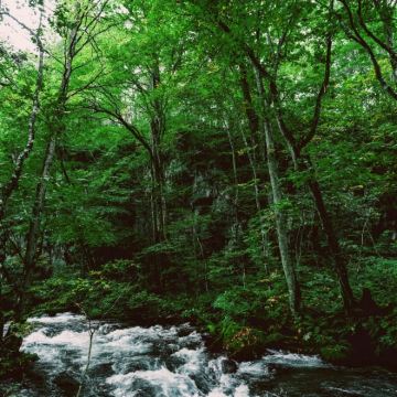 青森县6日5晚私家团