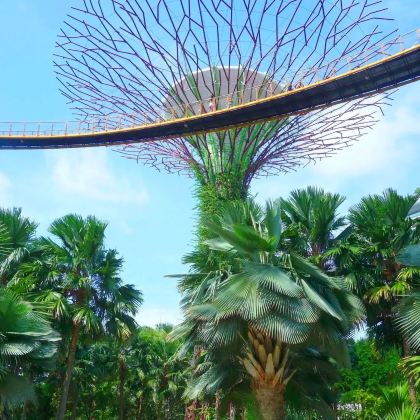 马来西亚吉隆坡+新加坡7日6晚私家团