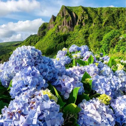 葡萄牙里斯本9日7晚私家团