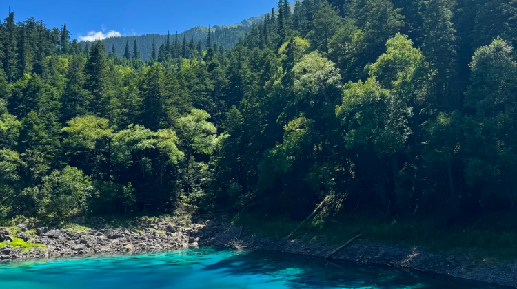 6-D Western Sichuan Private Tour: Chengdu, Jiuzhaigou, Huanglong National Scenic Area, Sanxingdui Museum, Mount Siguniang | Sichuan Face-changing Performances + Tea Art Shows + Tibetan Costume Photography·  