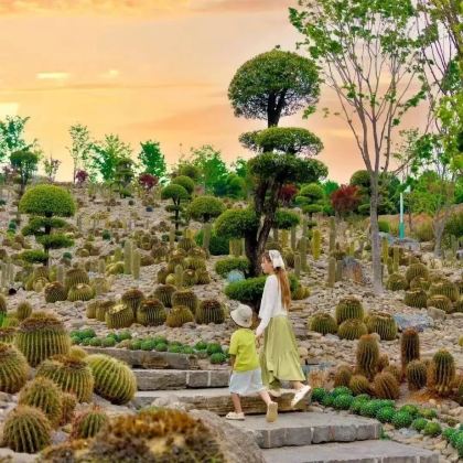 昆明+东川红土地+云南哀牢山国家级自然保护区+建水+元阳+蒙自+普者黑风景区+弥勒10日9晚私家团