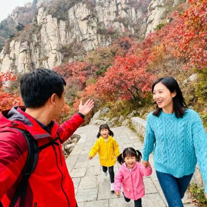 泰山风景区+济南趵突泉景区+千佛山+大明湖景区2日1晚跟团游
