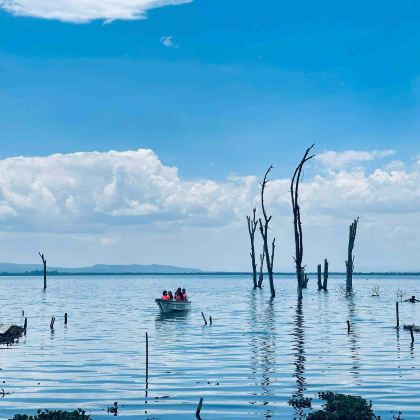 肯尼亚8日7晚跟团游