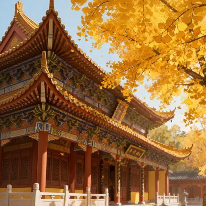 普陀山2日1晚私家团