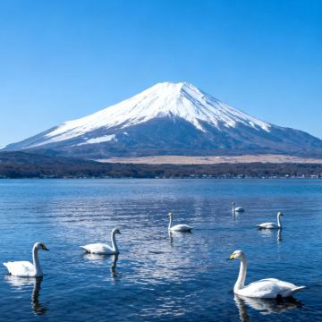 日本东京+大阪6日5晚自由行