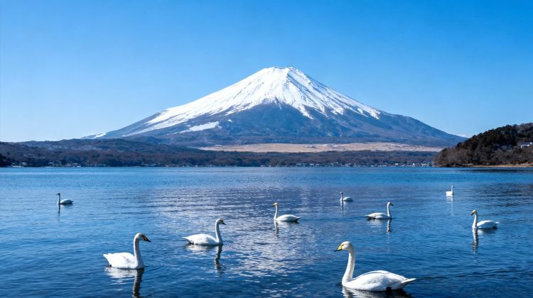 <7天>【7日6晚 · 旅行團 · 日本東京+富士山+京都+大阪】·VIP定製