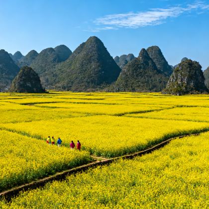 贵阳+黄果树景区+荔波+镇远+西江千户苗寨+万峰林景区+马岭河峡谷景区+中国天眼景区7日6晚私家团