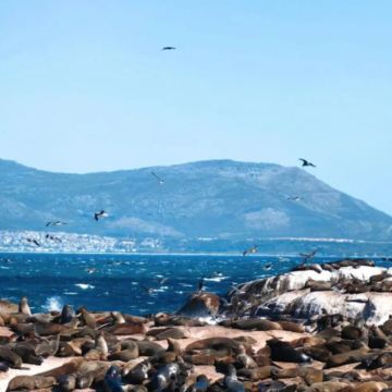 肯尼亚+乌干达+南非11日10晚私家团