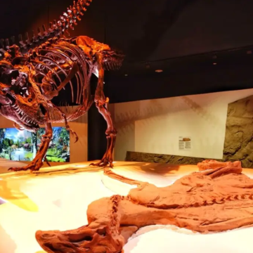 美国3日2晚私家团