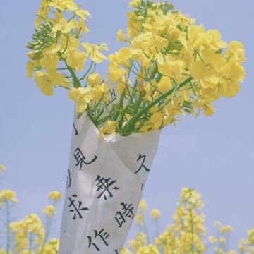 绍兴+覆卮山景区3日2晚私家团