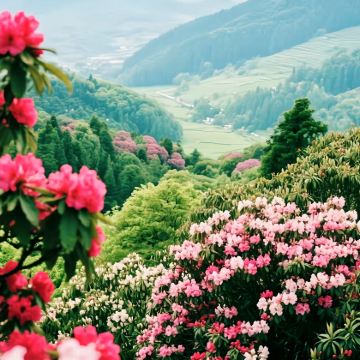 贵州毕节+遵义5日4晚私家团