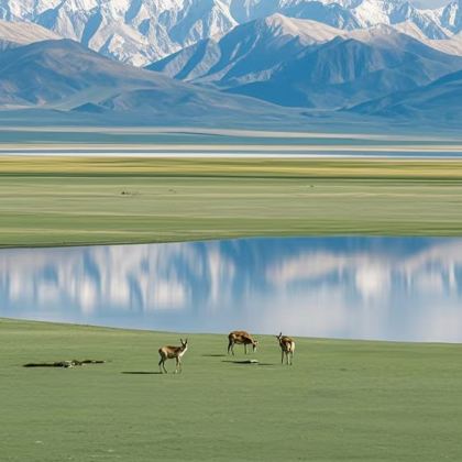 甘肃+张掖+敦煌+莫高窟+鸣沙山月牙泉+青海10日9晚跟团游