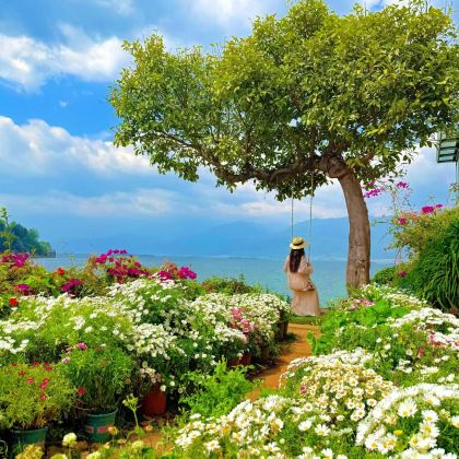 云南昆明+芒市+瑞丽+腾冲+大理市+丽江+香格里拉+泸沽湖14日13晚跟团游