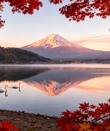 7天6晚 • 日本小資東京旅遊｜東京迪士尼.河口湖.忍野八海.明治神宮.敘敘苑燒肉.溫泉購物