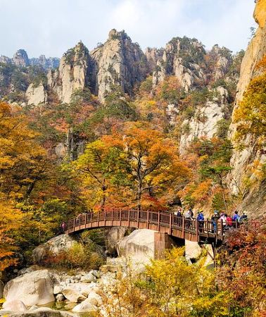 12D11N • 12-Day South Korea Group Tour in Spanish