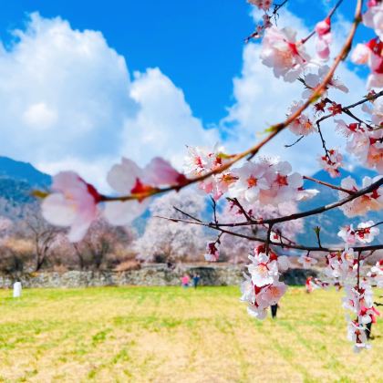 林芝大峡谷2日1晚跟团游