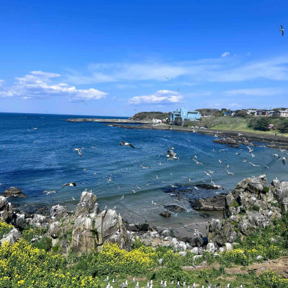 青森县6日5晚私家团