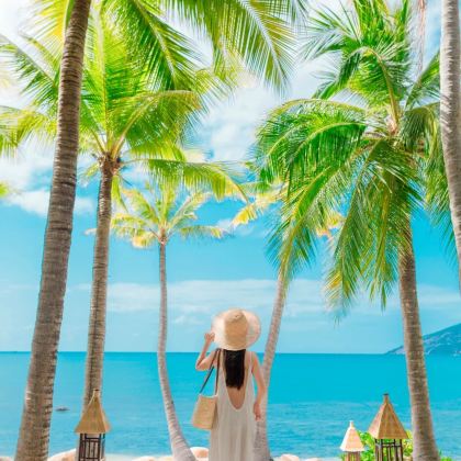 厦门+鼓浪屿3日2晚跟团游