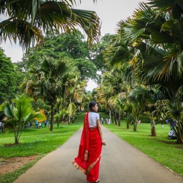 斯里兰卡科伦坡+贾夫纳+亭可马里+康提+努沃勒埃利耶+美蕊沙+加勒14日13晚私家团