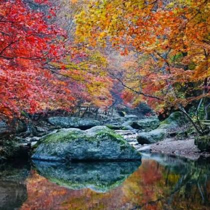 本溪+盘锦+大连6日5晚私家团