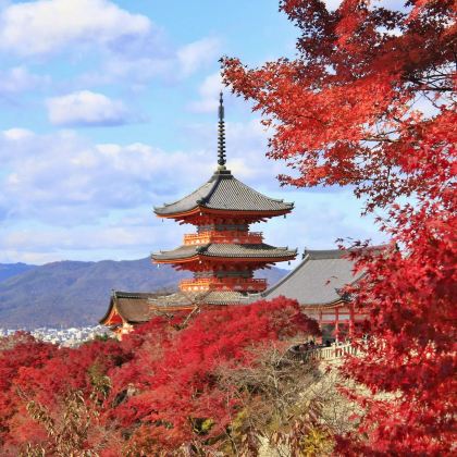 日本东京+富士山+大阪+京都+奈良10日9晚跟团游