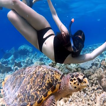 马来西亚仙本那+吉隆坡7日6晚自由行