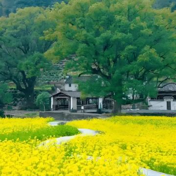 江西南昌+婺源+上饶+景德镇+庐山风景名胜区5日4晚跟团游