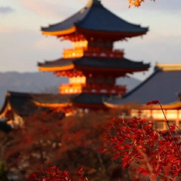 日本大阪+京都5日4晚私家团