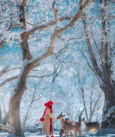 10日9晚 • 吉林長春＋長白山＋延吉＋雪鄉＋哈爾濱＋漠河