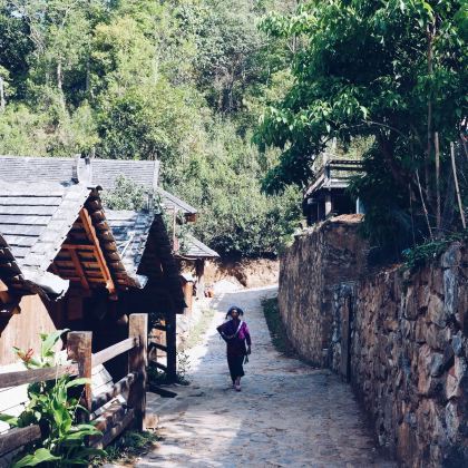 云南普洱+景迈千年万亩古茶园+翁基布朗族老寨3日2晚私家团