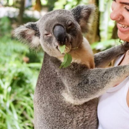 澳大利亚布里斯班+黄金海岸+凯恩斯7日6晚自由行