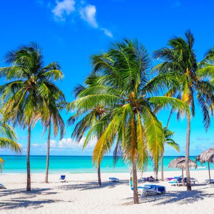 古巴哈瓦那+巴拉德罗8日7晚跟团游