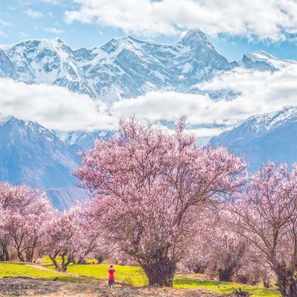 林芝+波密+雅鲁藏布大峡谷+南迦巴瓦峰+巴松措4日3晚私家团
