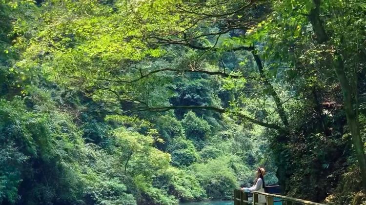 5-Day Tianzishan + Changsha + Zhangjiajie + Tianmen Mountain National Forest Park